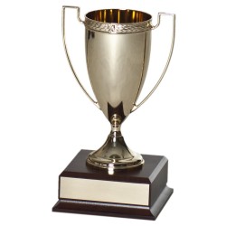 Metal Cup Award C-3902