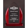 Acrylic Awards AC606