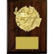 Economy Plaques P-4311